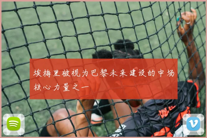 埃梅里被视为巴黎未来建设的中场核心力量之一