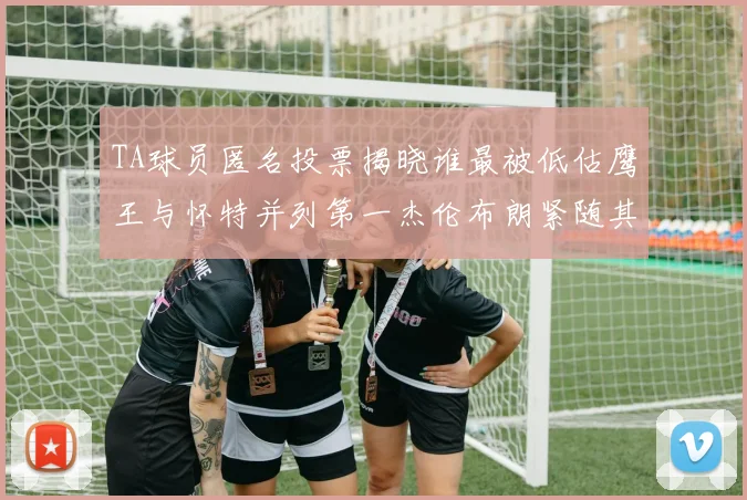 TA球员匿名投票揭晓谁最被低估鹰王与怀特并列第一杰伦布朗紧随其后